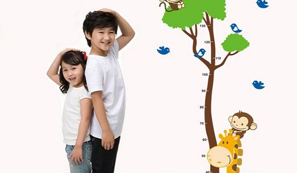 Sữa Eurofit A+ cho trẻ 1 đến 6 tuổi lon 900g