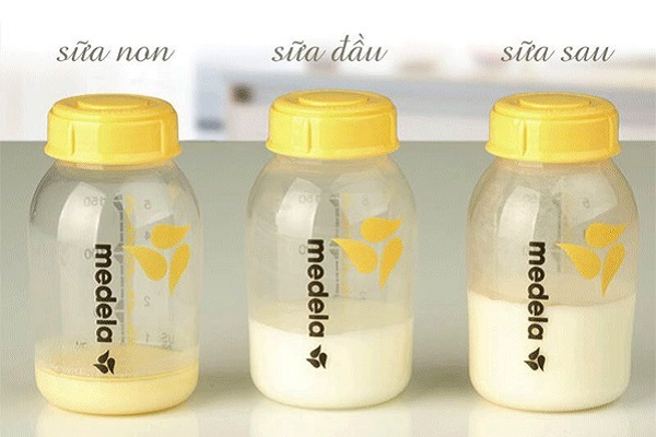 Sữa Eurofit A+ cho trẻ 1 đến 6 tuổi lon 900g