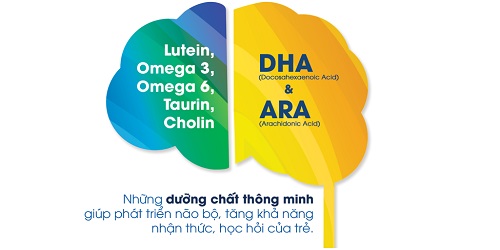 Sữa Eurofit A+ cho trẻ 1 đến 6 tuổi lon 900g