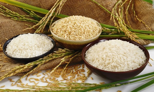 Sữa hạt dẻ và gạo natrue hazenuts rice hộp 1L 