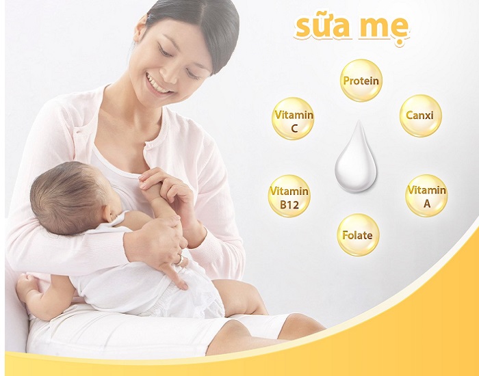 Sữa Hallo Baby số 1 lon 800g trẻ 0-12 tháng