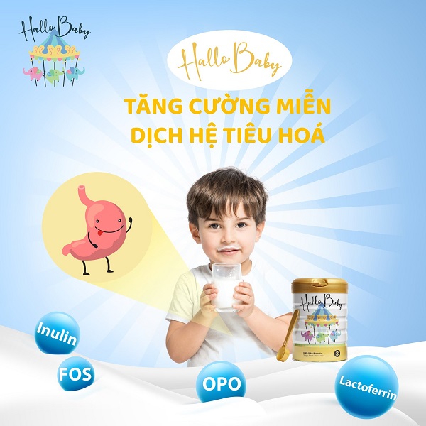 Sữa Hallo Baby số 1 lon 800g trẻ 0-12 tháng