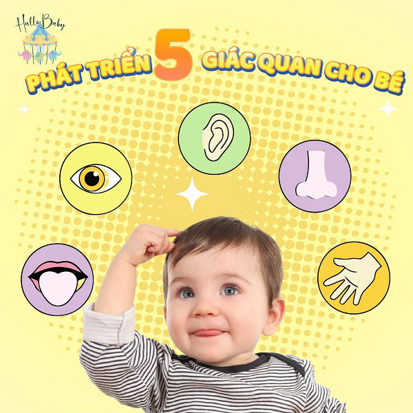 Sữa Hallo Baby số 1 lon 800g trẻ 0-12 tháng