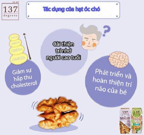 Sữa hạt óc chó nguyên chất 137 Degrees hộp 180ml