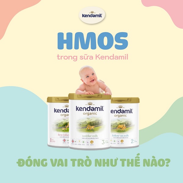 Sữa Kendamil Organic số 2 lon 800g trẻ 6-12 tháng