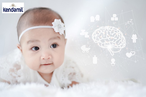 Sữa Kendamil Organic số 3 lon 800g cho trẻ 1-3 tuổi