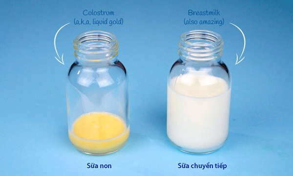 Sữa non colosbaby gold 0+ lon 800g cho trẻ 0-12 tháng tuổi
