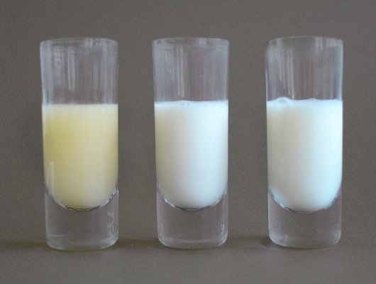 Sữa non colosbaby pha sẵn hộp 180ml cho trẻ trên 1 tuổi 