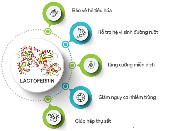 Sữa Nutura Organic Úc số 3 lon 800g cho trẻ 1-3 tuổi