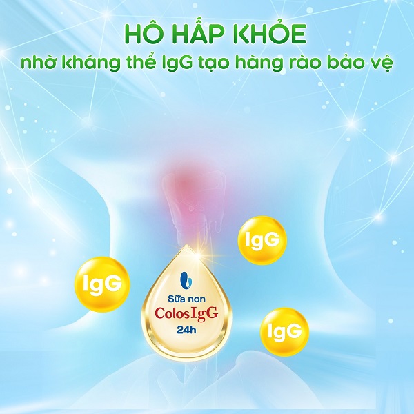 Sữa pha sẵn Calokid Gold hộp 180ml cho trẻ 1-10 tuổi