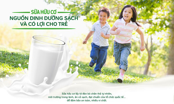 Sữa tươi hữu cơ Daioni organic vị socola hộp 200ml