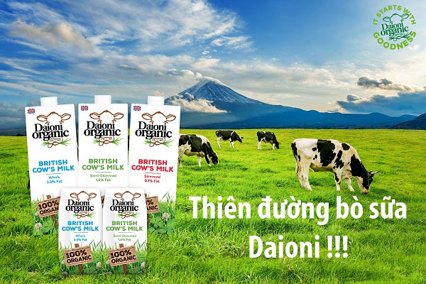 Sữa tươi hữu cơ Daioni organic vị chuối hộp 200ml