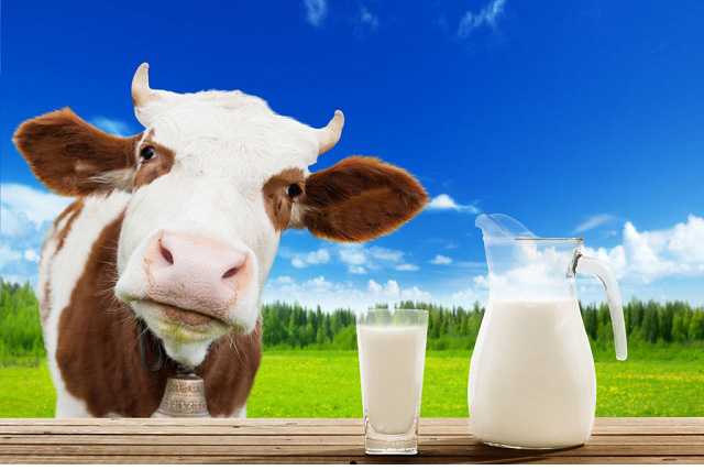 Thùng sữa tươi Australia's Own Milk úc ít béo hộp 1 lít