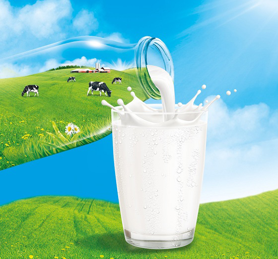 sữa tươi tiệt trùng vinamilk ít đường hộp 1 lít