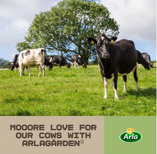 Thùng sữa tươi nguyên kem Arla nhập khẩu Đức hộp 1 lít