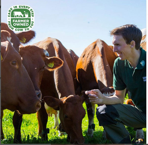 Thùng sữa tươi nguyên kem Arla nhập khẩu Đức hộp 1 lít