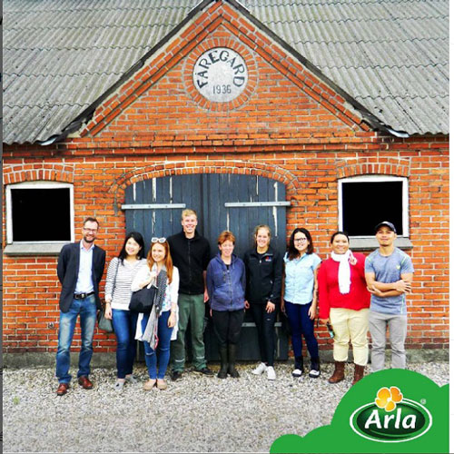 Thùng sữa tươi nguyên kem Arla nhập khẩu Đức hộp 1 lít