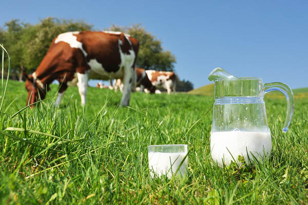 Sữa tươi nguyên kem Australia's Own Milk hộp 1 lit nhập khẩu Úc