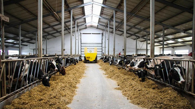 sữa tươi nhập khẩu Ba Lan Laciate hương vani hộp 200ml