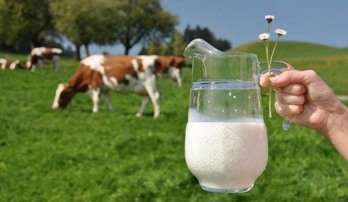 Sữa tươi Meadow Fresh không béo hộp 1 lít