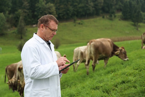 Sữa tươi nguyên kem Mlekovita I Love Milk 1 Lít