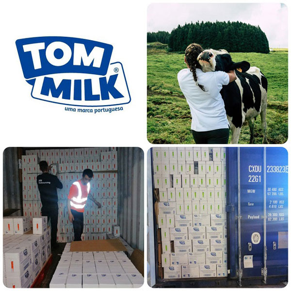 Sữa tươi nguyên kem Tom Milk Bồ Đào Nha hộp 1L