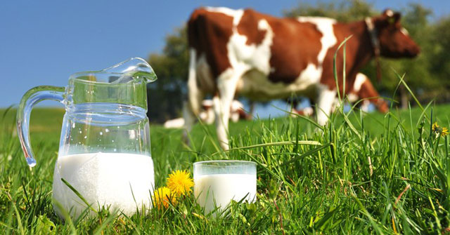 sữa tươi nguyên kem oldenburger hộp 1 lít nhập khẩu Đức