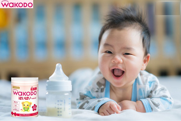 Sữa Nhật Bản Wakodo số 1, cho trẻ 0-1 tuổi, lon 300g