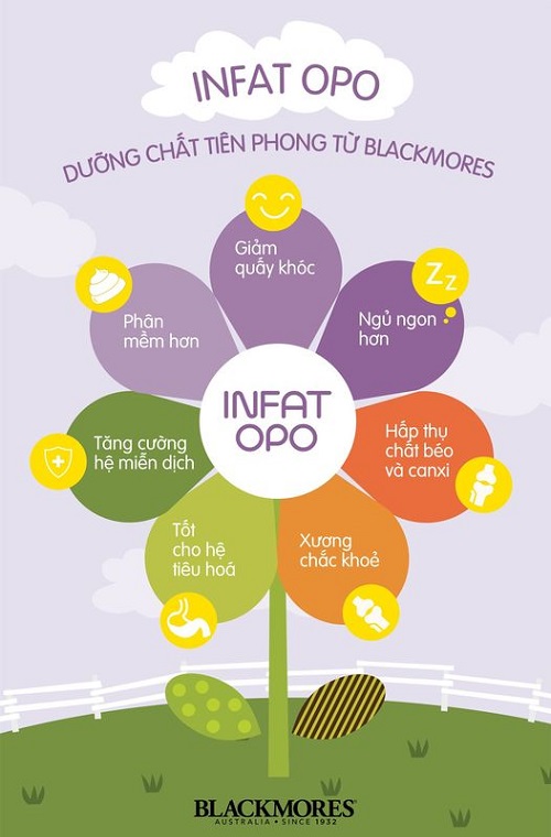 Sữa Blackmores Úc số 2 lon 900g cho trẻ 6-12 tháng