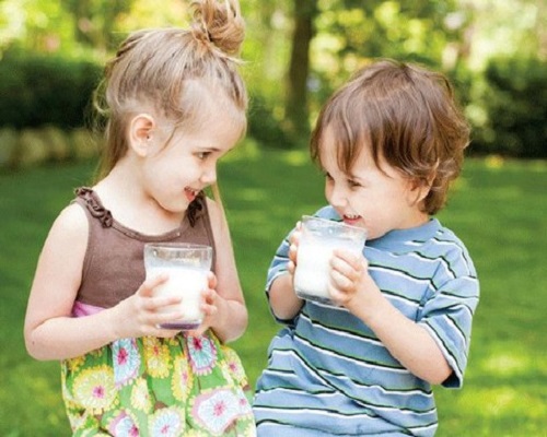 sữa hipp số 2 800g cho trẻ 6-12 tháng tuổi