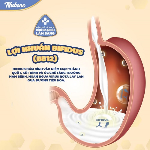 sữa Nubone Step 2 Lotte Foods Hàn Quốc cho trẻ 1-3 tuổi