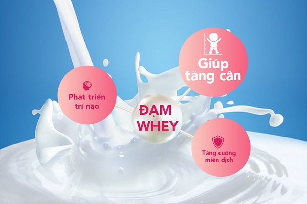 sữa bột Nutren Junior lon 850g cho trẻ từ 1-10 tuổi