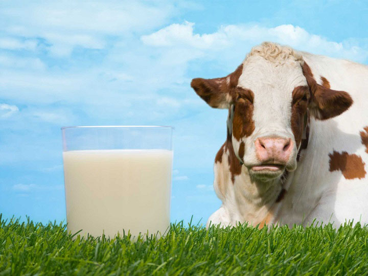 Thùng sữa tươi Australia's Own Milk không béo hộp 1 lít