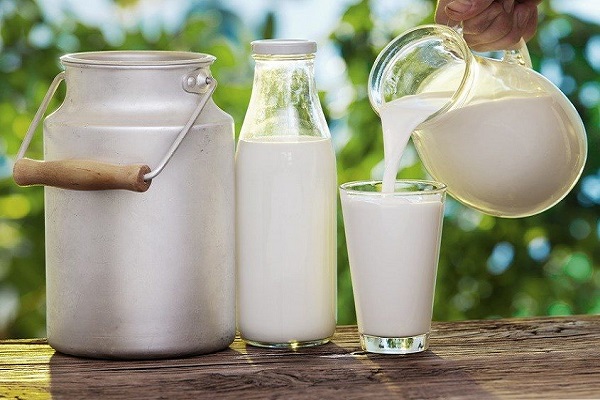 sữa tươi Pauls Zymil nguyên kem không đường Lactose hộp 250ml