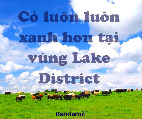 Sữa Kendamil Organic số 2 lon 800g trẻ 6-12 tháng