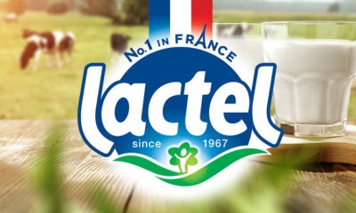 Sữa tươi nguyên kem Lactel Pháp hộp 1 lít