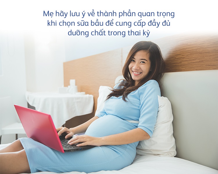 Sữa cho mẹ bầu