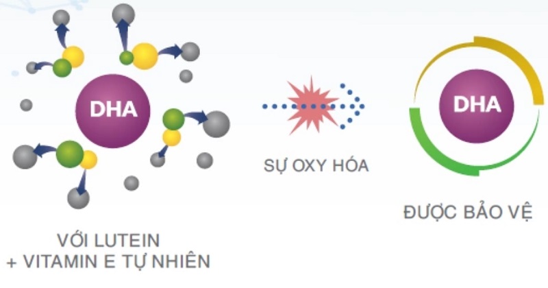 Sữa Similac Total Protection 1+ lon 850g cho trẻ từ 1 tuổi