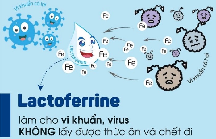 Sữa ColosBaby Lactoferrin 0+ lon 800g cho trẻ 0-12 tháng