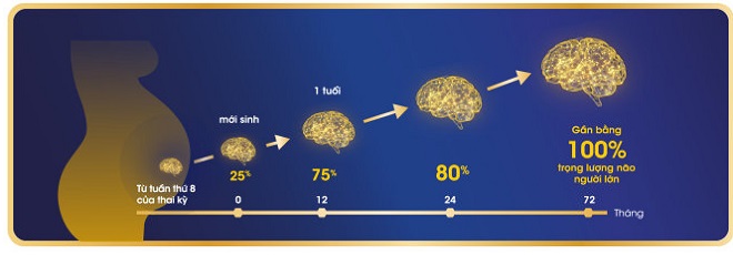 Sữa Enfamil A+ C-Sec lon 800g cho trẻ sinh mổ từ 0-12 tháng tuổi