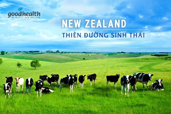 Sữa Enfamil đạm A2 NeuroPro số 2 lon 800g cho trẻ từ 6-12 tháng