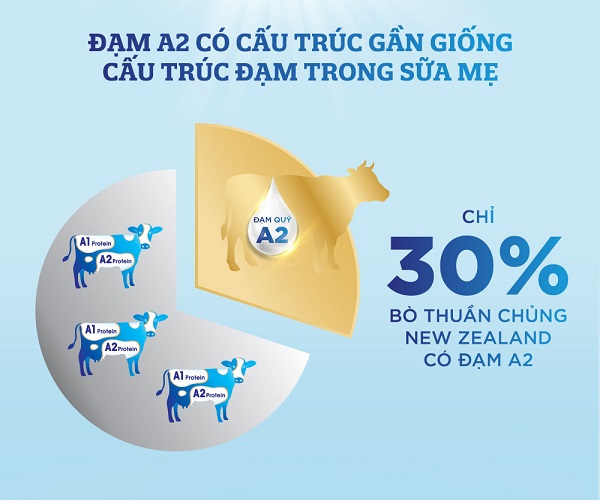 Sữa Enfagrow đạm A2 NeuroPro số 3 lon 800g cho trẻ từ 1-6 tuổi