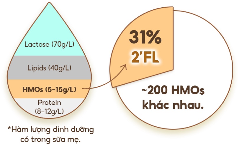 Sữa thiên thần Maeil Absolute Hàn Quốc số 1 cho bé 0-6 tháng