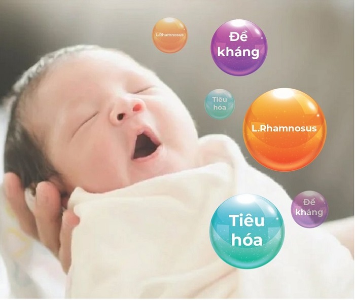 Sữa XO số 1 nội địa Hàn Quốc lon 800g cho trẻ 0-6 tháng tuổi