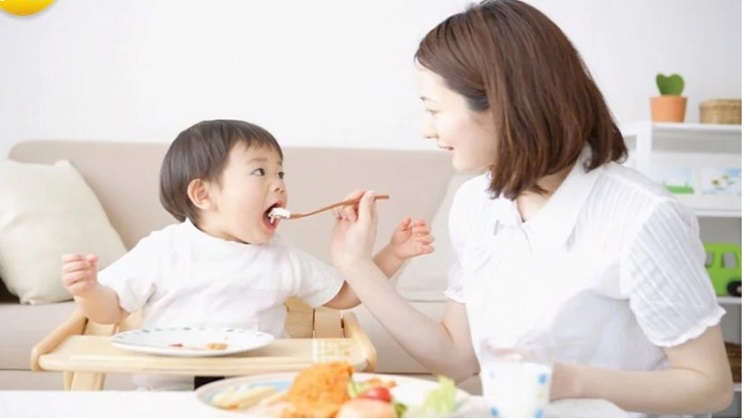 Sữa XO số 4 nội địa Hàn Quốc lon 800g cho trẻ 18-36 tháng tuổi