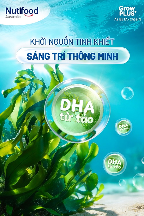 Sữa pha sẵn Nutifood Grow Plus+ đạm A2 hộp 110ml