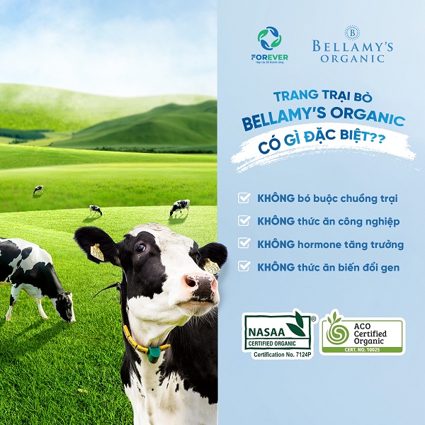 Sữa Bellamy's Organic đạm A2 số 2 lon 800g cho trẻ 6-12 tháng tuổi
