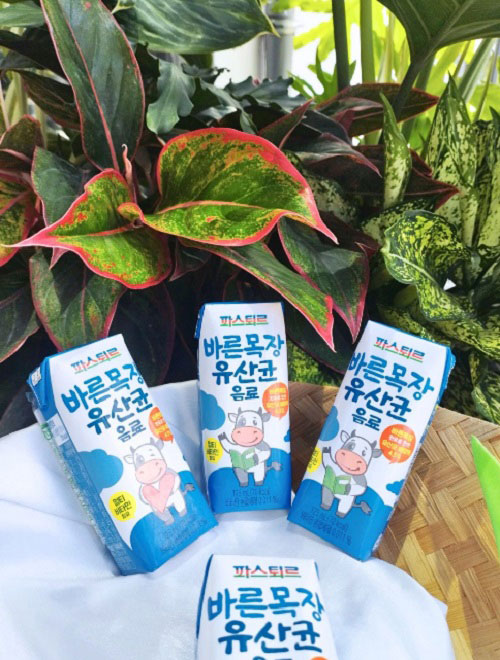 Sữa háu ăn Lotte Hàn Quốc