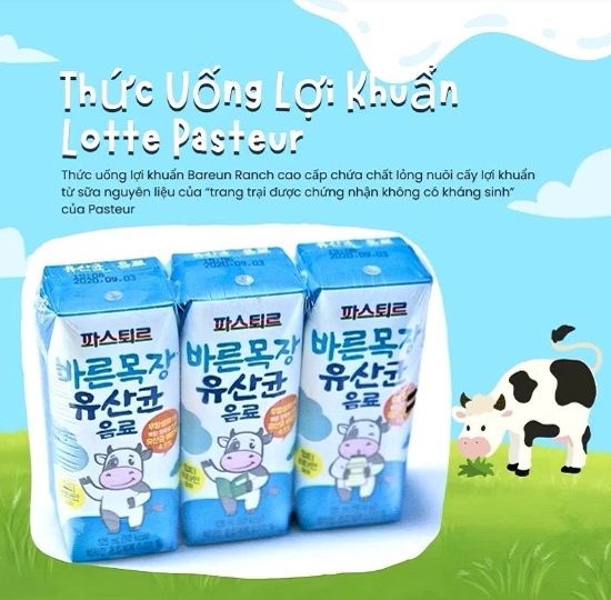 Sữa háu ăn Lotte Hàn Quốc