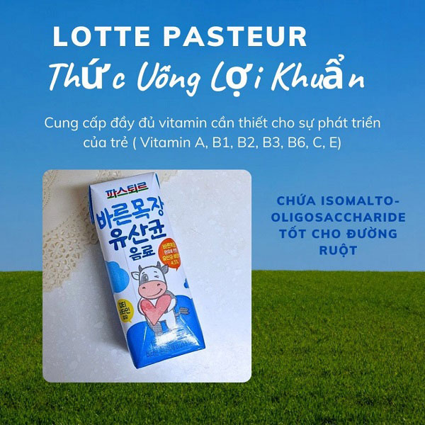 Sữa háu ăn Lotte